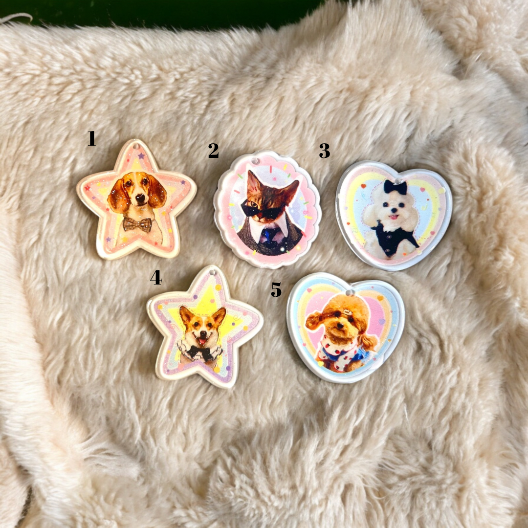 925 Animal Acrylic Earrings