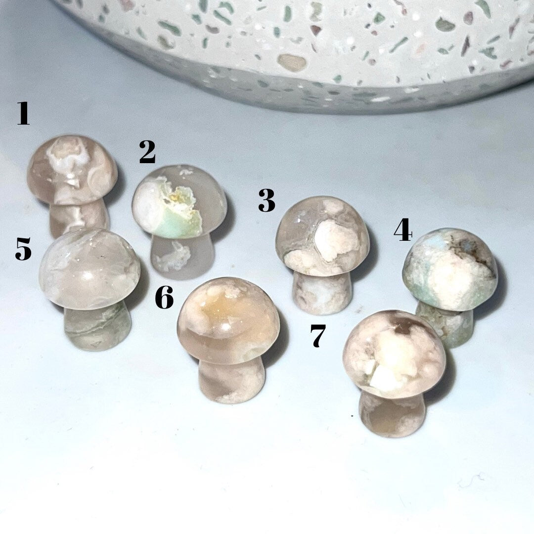 Beautiful Mini Mushroom Natural Stone carvings