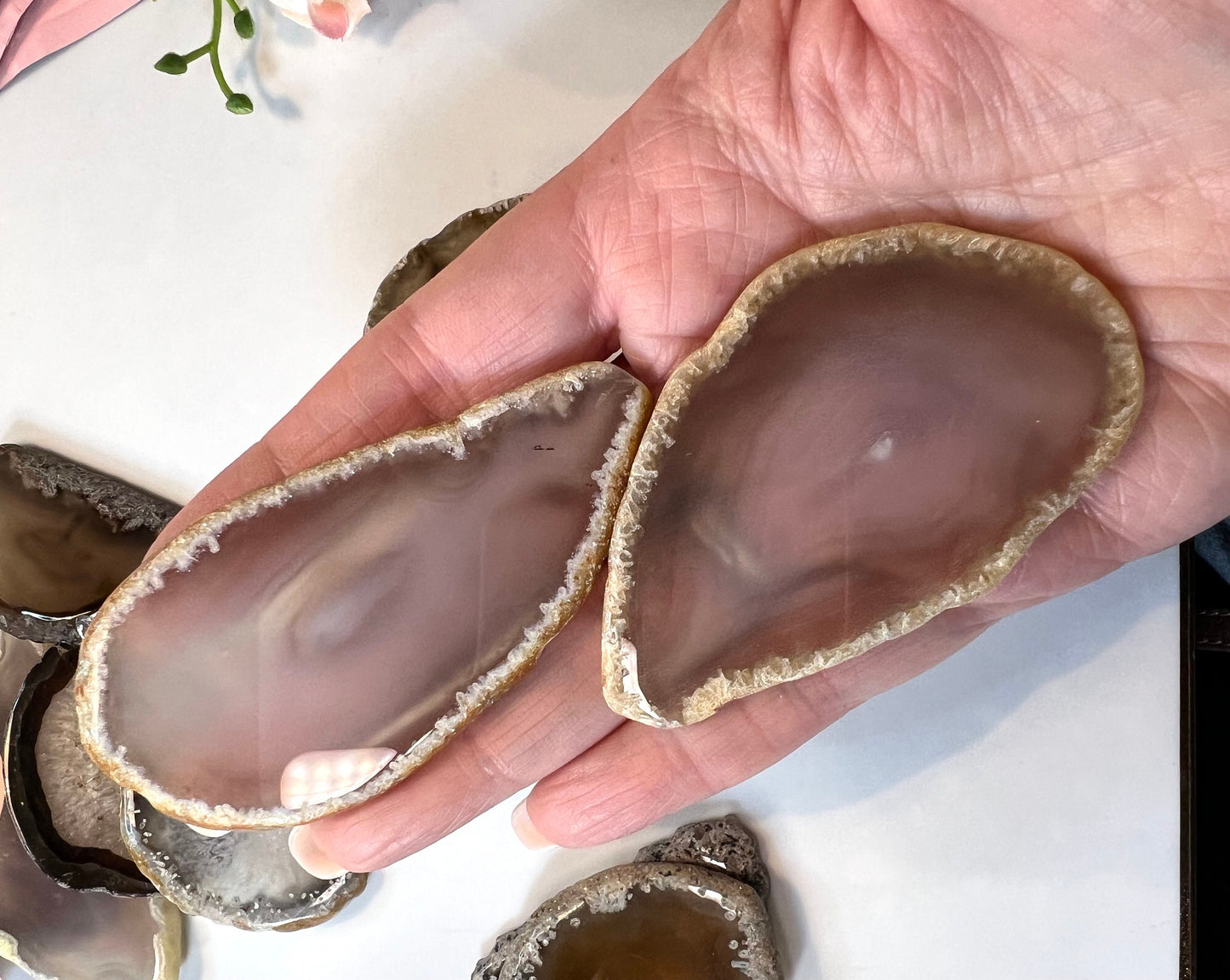 Agate Slices from Natural Crystal