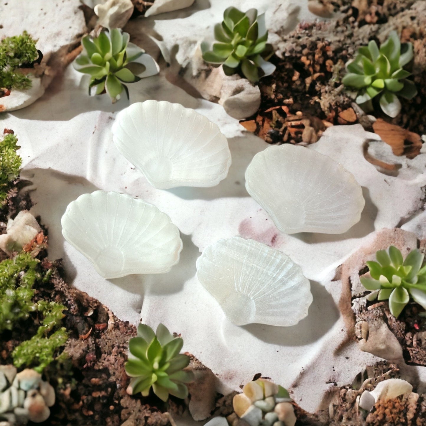 Selenite Shell Dish Natural Stone carvings