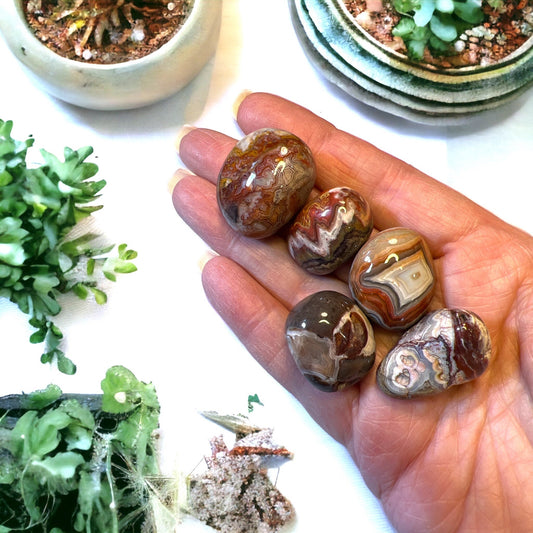 Crazy Lace Agate Tumbled stones