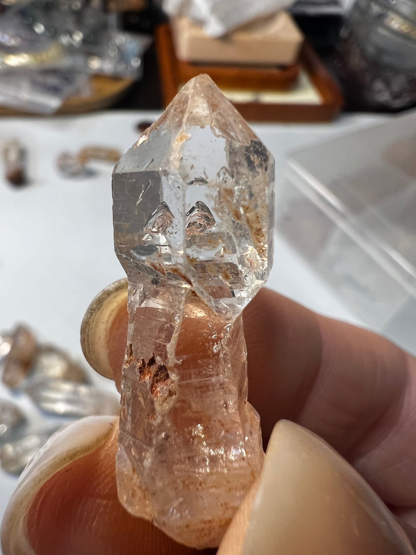 Manifestation Skeletal Crystal Points